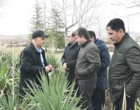 حذف تدریجی کاشت چمن در دانشگاه ارومیه 