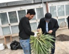 حذف تدریجی کاشت چمن در دانشگاه ارومیه 