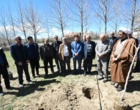 غرس نهال در محوطه دانشگاه به یاد شهدای جنگ رمضان