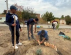 «رَستاپیا»؛ وقتی دهه هشتادی‌های دانشگاه ارومیه به روستا جان تازه می‌دهند