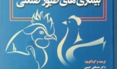 درخشش دانشجوی دانشگاه ارومیه در جشنواره کتاب سال دانشجویی