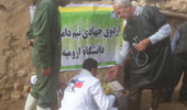 اعزام تیم جهادی دامپزشکی دانشگاه ارومیه به مناطق محروم شهرستان میاندوآب
