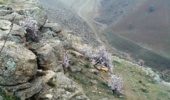 ثبت نام اردوی کوهپیمایی ویژه کارکنان و دانشجویان مرد دانشگاه ارومیه