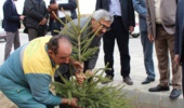 کاشت 1000 اصله درخت پرورش یافته در دانشگاه به مناسبت روز درختکاری در پردیس نازلو