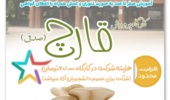 برگزاری کارگاه پرورش قارچ صدفی در دانشگاه ارومیه