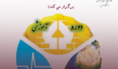 ثبت نام دوره آموزشی بهداشت و ایمنی (HSE) در دانشگاه ارومیه آغاز شد