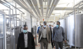 بازدید مدیرکل بازررسی کل استان  از کارخانه لبنیات دانشگاه ارومیه 