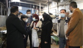 بازدید اعضای هیئت علمی دانشگاه ارومیه از شرکت شیرین ناب باختر