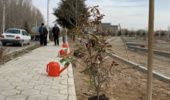 دانشگاه اروميه در هفته درختكاري به استقبال بهار رفت (+فیلم)