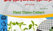 کارگاه اصول کشت بافت و سلول گیاهی