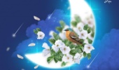 ماه رمضان، ماه بهار قرآن، در بهار طبیعت (30 جز قــرآن بصورت فایل صوتی)