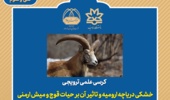 کرسی علمی ترويجـی:  خشکی دریاچه ارومیه و تاثیر آن بر حیات قوچ و میش ارمنی در پارک ملی دریاچه ارومیه