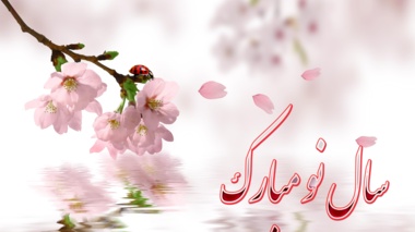دیدار نوروزی رییس دانشگاه ارومیه با کارکنان دانشگاه