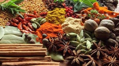 برگزاری همایش ملی گیاهان دارویی دیم ایران در دانشگاه ارومیه