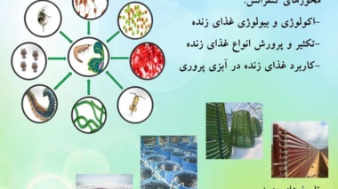 اولین کنفرانس ملی غذای زنده در دانشگاه ارومیه برگزار میشود