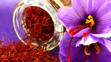 اطلاعیه پذیرش کارآموز در رشته کشاورزی