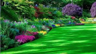 اطلاعیه دانشگاه ارومیه در مورد اصلاح فضای سبز