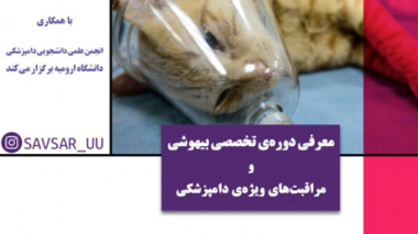 وبینارهای انجمن های علمی دانشجویی معاونت فرهنگی اجتماعی دانشگاه ارومیه در هفته پیش رو