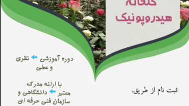 دوره ی آموزشی پرورش گل رُز در گلخانه ی هیدروپونیک