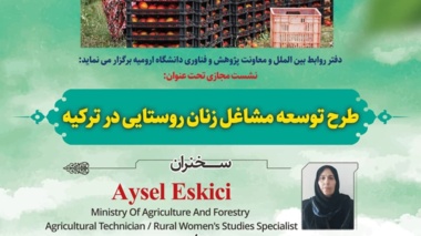نشست مجازی بین المللی تحت عنوان:  طرح توسعه مشاغل زنان روستایی در ترکیه